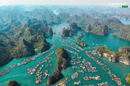 Ảnh của CÁT BÀ - HẢI PHÒNG